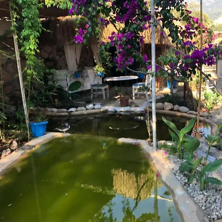 Begonvilla Bungalows