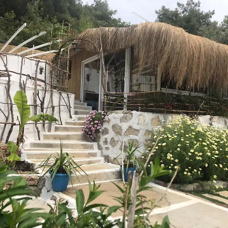 Begonvilla Bungalows