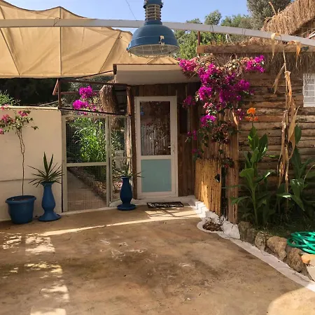 Апарт-отель Begonvilla Bungalows