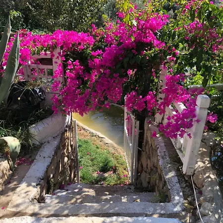 Begonvilla Bungalows *