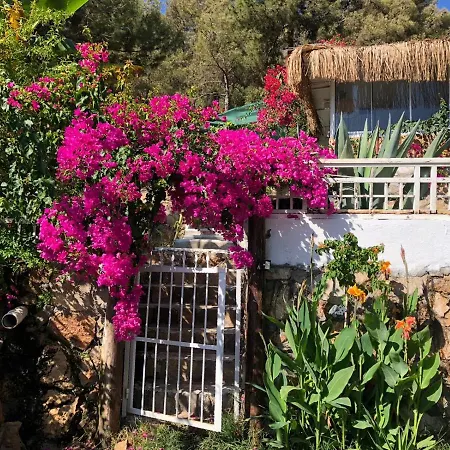 Begonvilla Bungalows Мугла