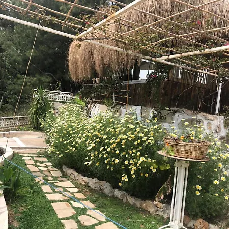 Апарт-отель Begonvilla Bungalows
