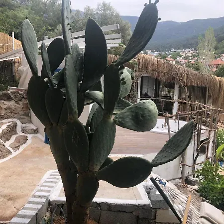 Begonvilla Bungalows Мугла
