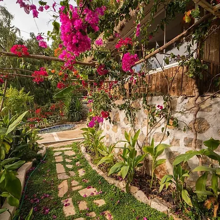 Aparthotel Begonvilla Bungalows